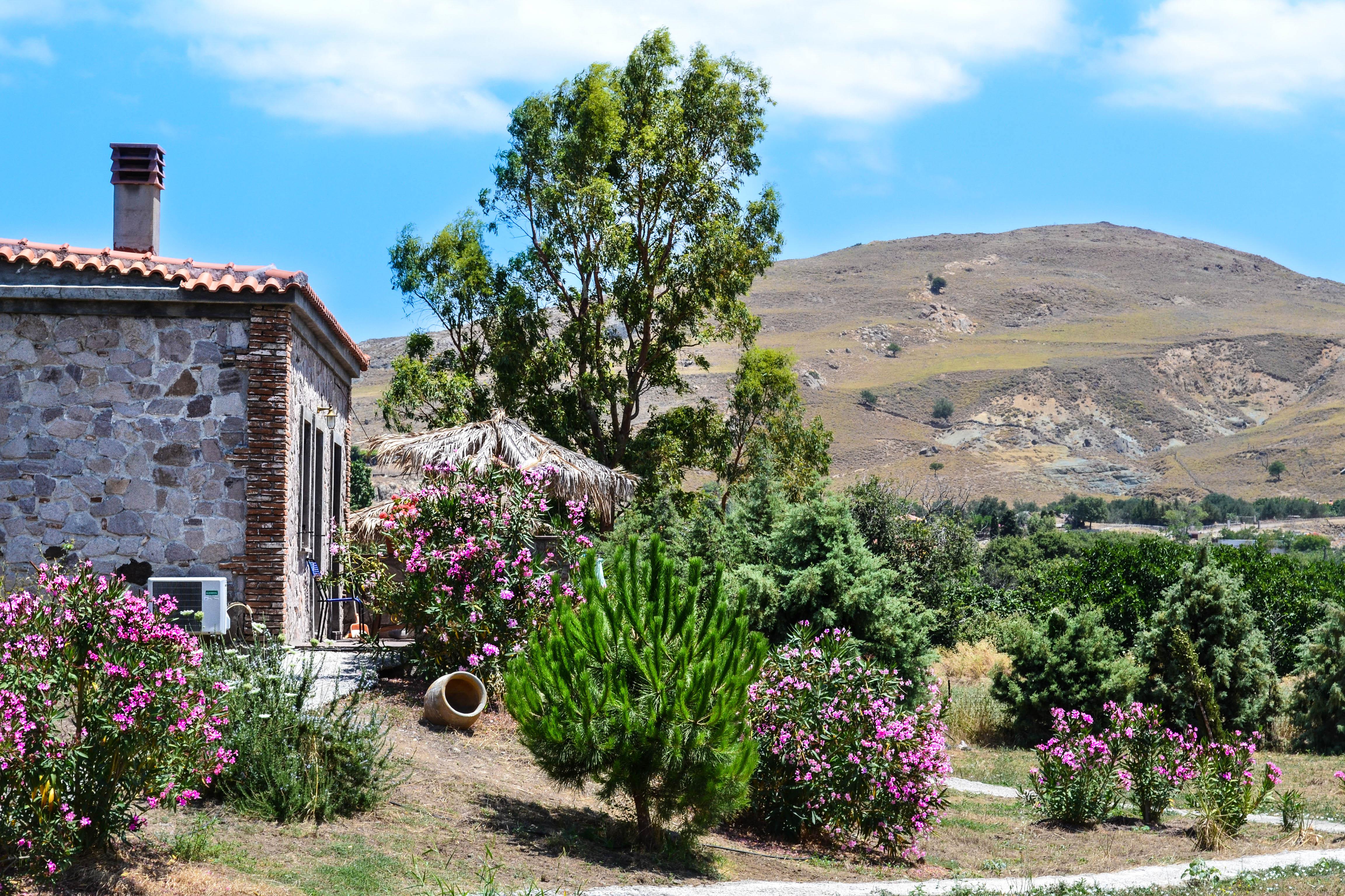 Vakantie naar Appartementen Villa's Elpiniki in Molivos Eftalou in Griekenland