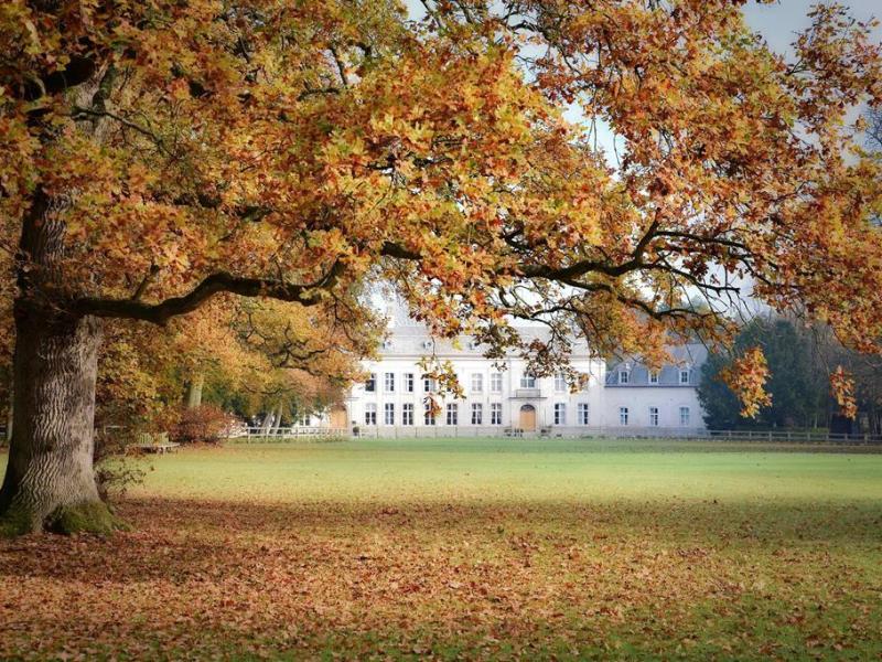 Vakantie naar Chateau De Cocove in Recques Sur Hem in Frankrijk