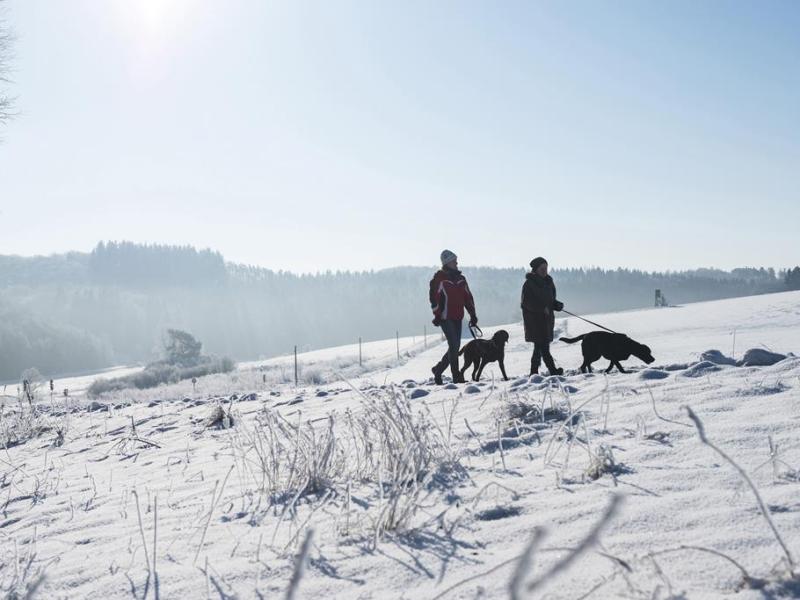 Vakantie naar Dormio Resort Eifeler Tor in Heimbach in Duitsland