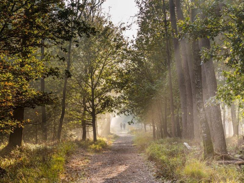 Vakantie naar Europarcs Hooge Veluwe in Arnhem in Nederland