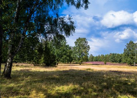 Eurostrand Resort Lüneburger Heide vanaf 505,-!