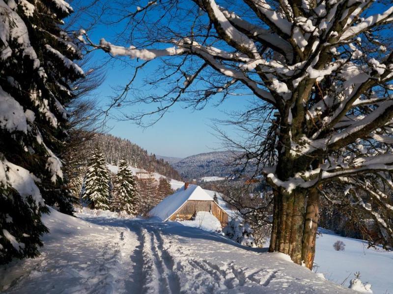 Ochsenwirtshof vanaf € 866,-'!