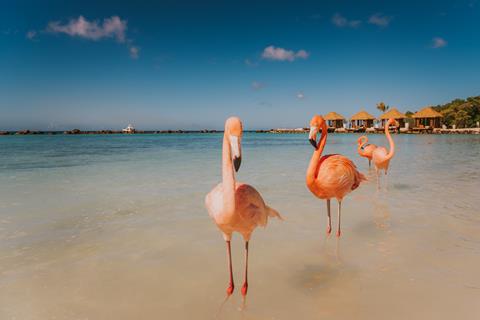 Renaissance Wind Creek Aruba All Inclusive Resort vanaf €1988,00!