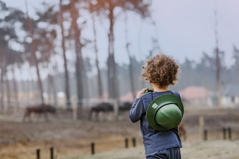 Safari Resort Beekse Bergen vanaf 928,-!