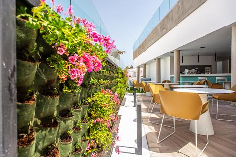 Taimar vanaf €460,00!