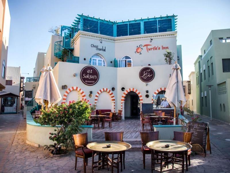 Vakantie naar Turtles Inn in El Gouna in Egypte